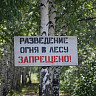 В саратовских лесах усилят противопожарный контроль